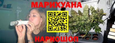 крисы Будённовск