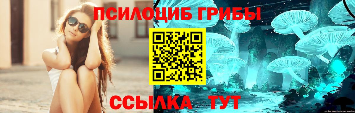 Одинцово  цена   Вход с VPN  Псилоцибиновые грибы Cubensis 